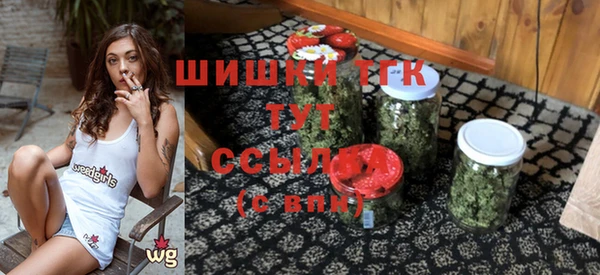 гидропоника Горняк