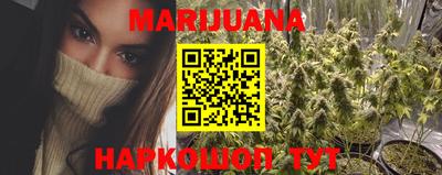 индика Гусиноозёрск