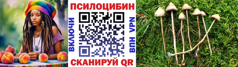 что такое наркотик  Минеральные Воды  Псилоцибиновые грибы Psilocybine cubensis 
