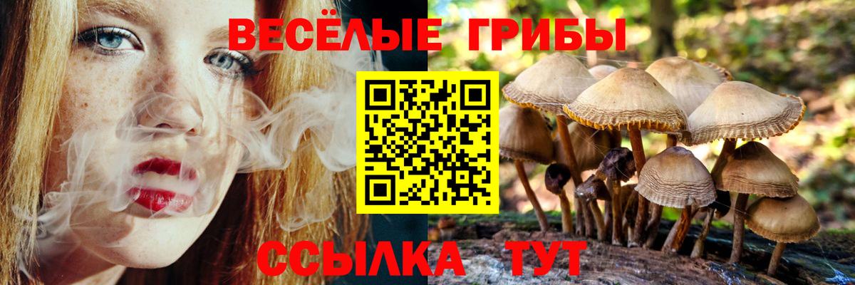 Псилоцибиновые грибы прущие грибы  Псилоцибиновые грибы прущие грибы  Минеральные Воды  наркота  Вход с VPN 