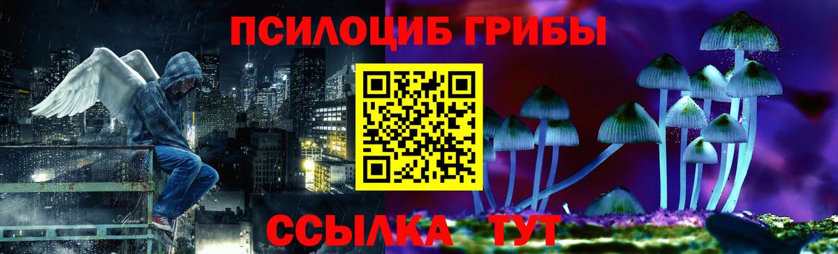 Галлюциногенные грибы прущие грибы Минеральные Воды